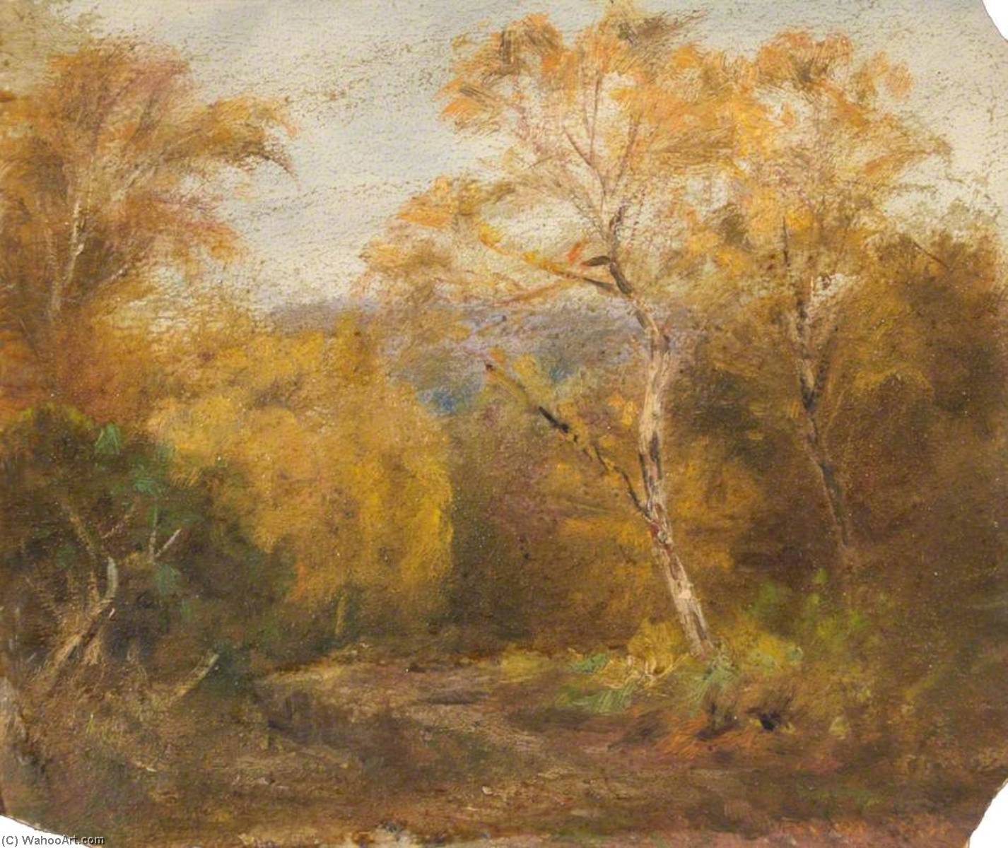 Wikioo.org - The Encyclopedia of Fine Arts - Painting, Artwork by William Henry Hope - A Study of Trees