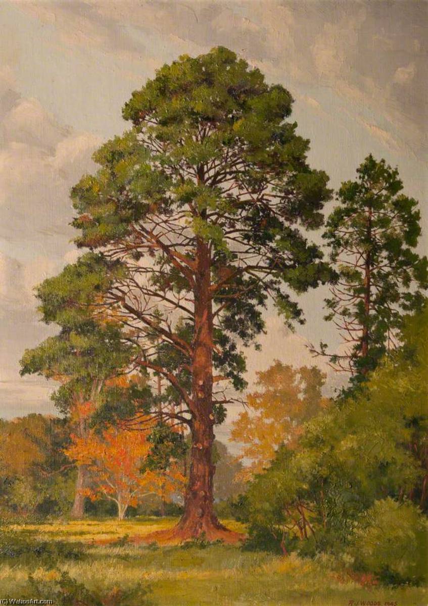 Wikioo.org - The Encyclopedia of Fine Arts - Painting, Artwork by Robert John Woods - Monarch of the Glade