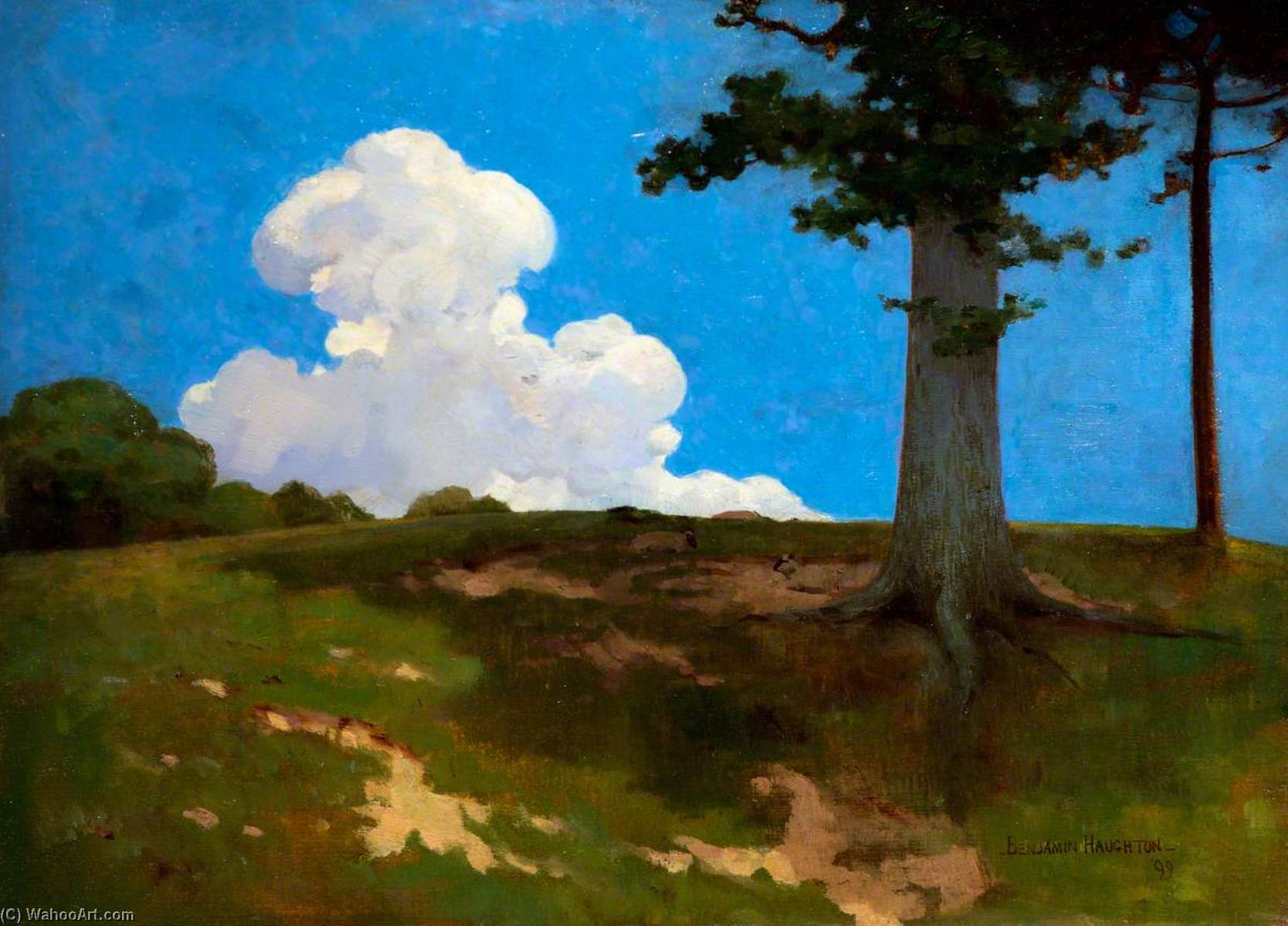 Wikioo.org - The Encyclopedia of Fine Arts - Painting, Artwork by Benjamin Haughton - A Cloud