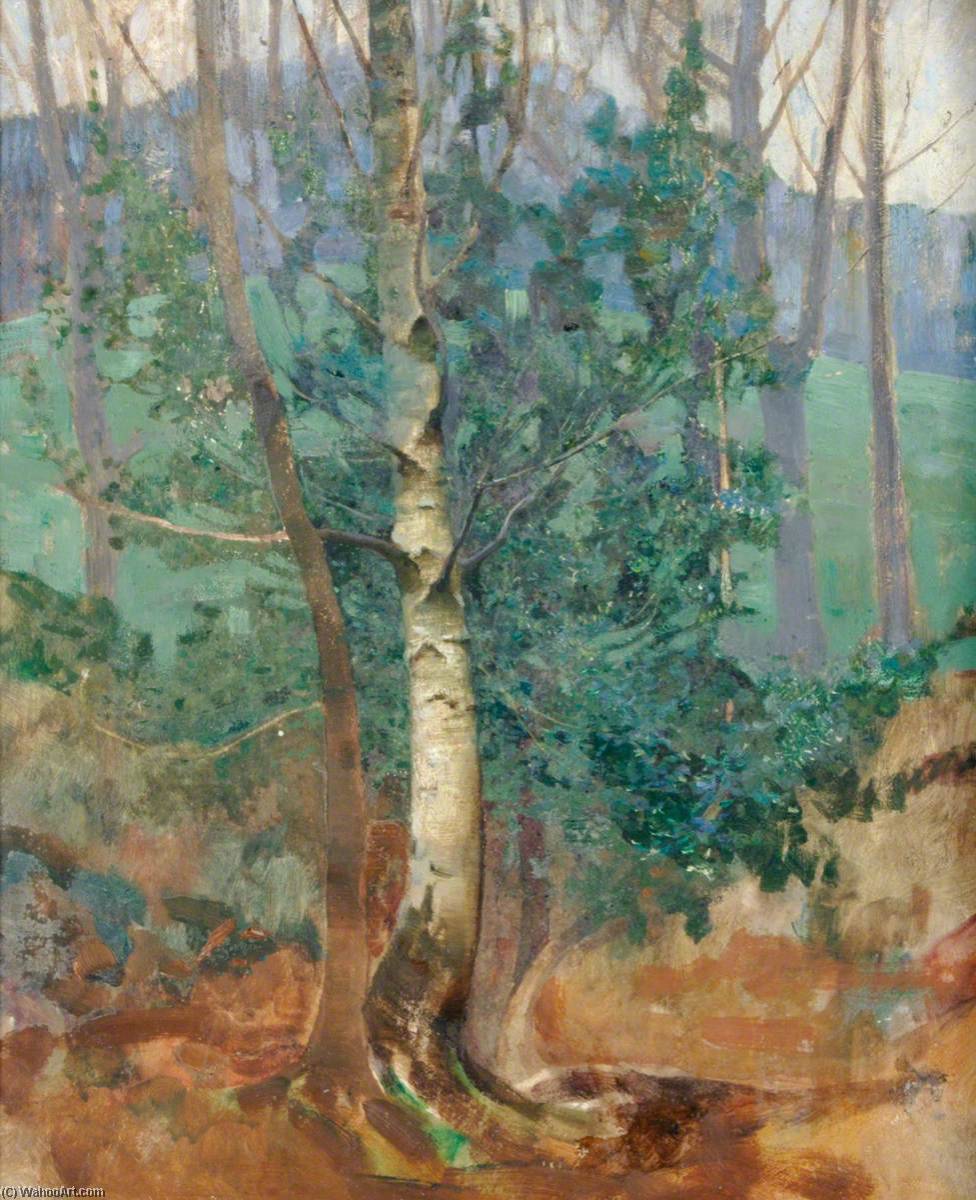 Wikioo.org - The Encyclopedia of Fine Arts - Painting, Artwork by Benjamin Haughton - Birch Tree in a Field