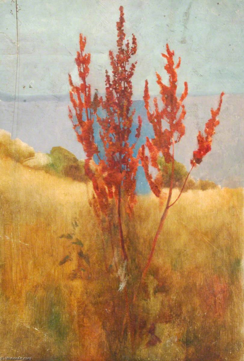 Wikioo.org - The Encyclopedia of Fine Arts - Painting, Artwork by Benjamin Haughton - Red Sapling by the Sea