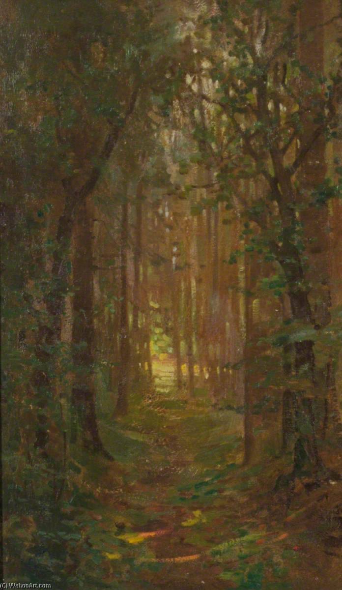 Wikioo.org - The Encyclopedia of Fine Arts - Painting, Artwork by Benjamin Haughton - Woodland Path