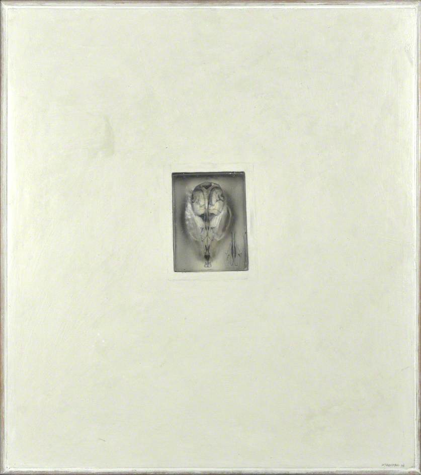 WikiOO.org - Enciclopedia of Fine Arts - Pictura, lucrări de artă Will Maclean - Museum of Zoology – Skull Notes