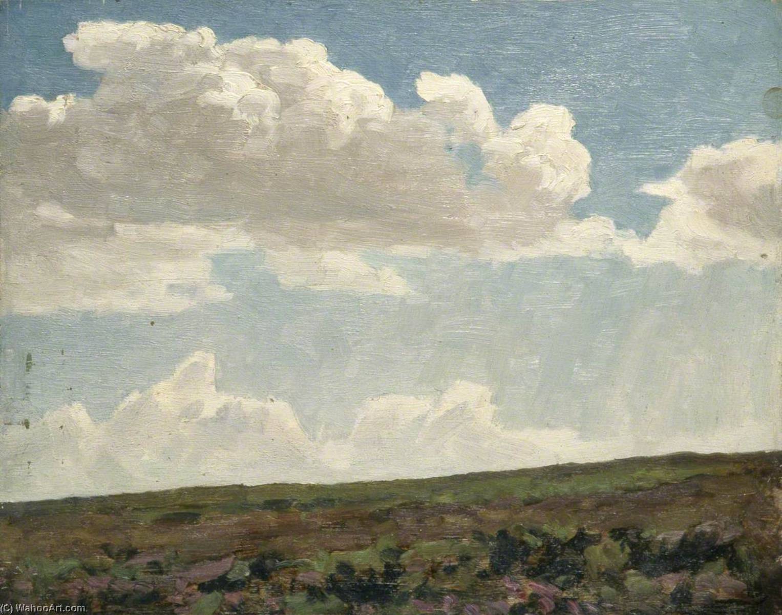 Wikioo.org - The Encyclopedia of Fine Arts - Painting, Artwork by Gunning King - Landscape with Cloudy Sky and Purple Heather