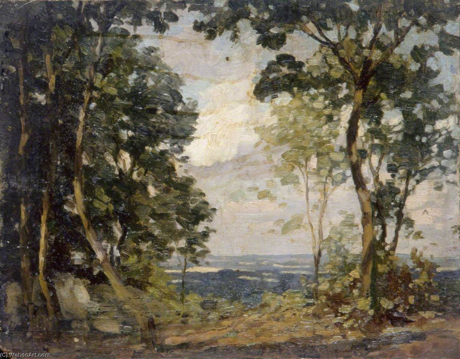 Wikioo.org - The Encyclopedia of Fine Arts - Painting, Artwork by Gunning King - Woodland Clearing Overlooking Lower Land
