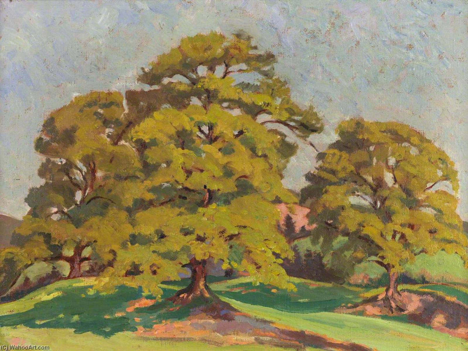 Wikioo.org - The Encyclopedia of Fine Arts - Painting, Artwork by Gladys Vasey - Elms in the Sunshine