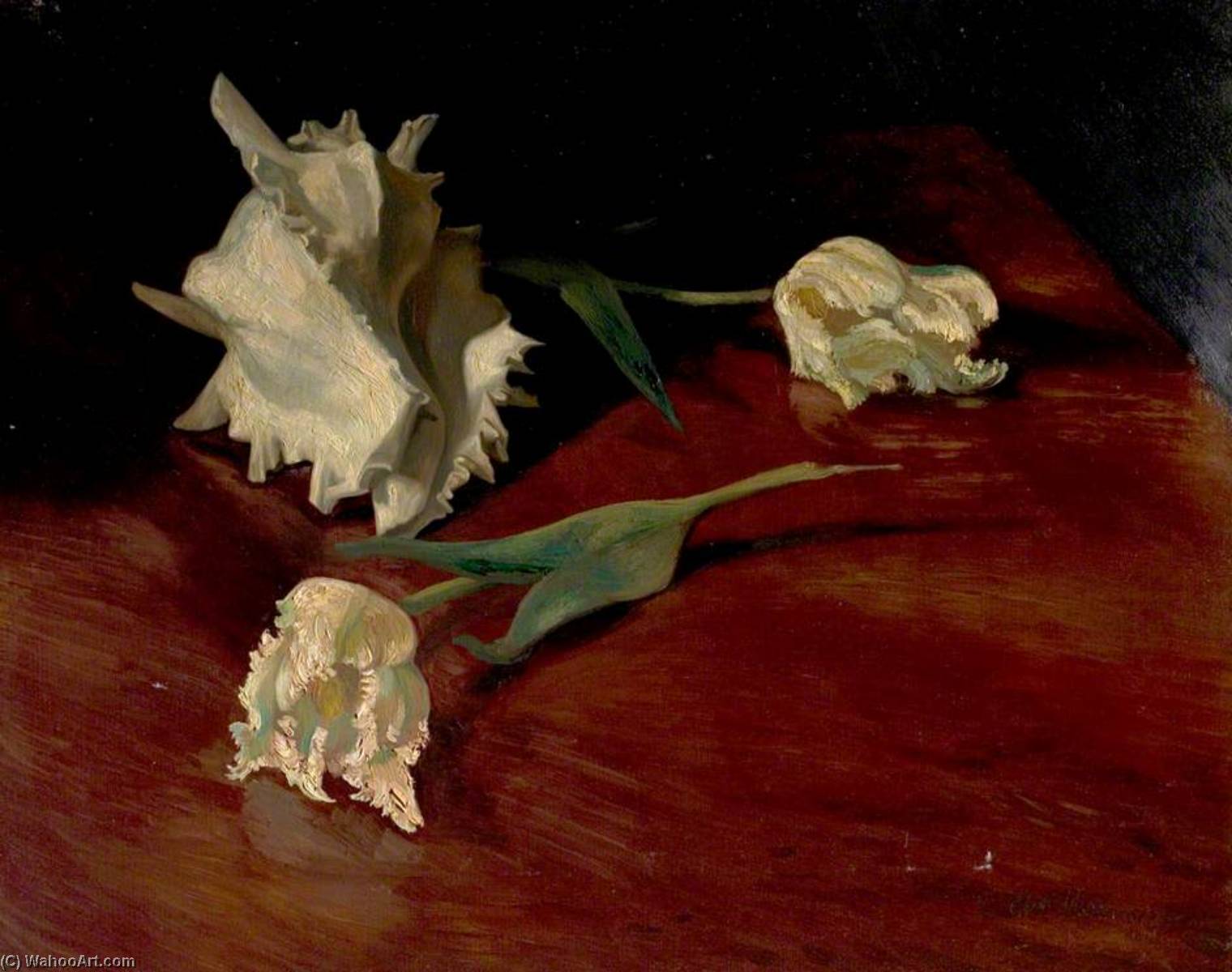 Wikioo.org - The Encyclopedia of Fine Arts - Painting, Artwork by Albert Anthony Houthuesen - A Shell and Flowers