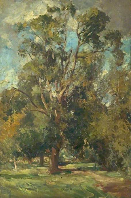Wikioo.org - The Encyclopedia of Fine Arts - Painting, Artwork by William Bruce Ellis Ranken - Trees