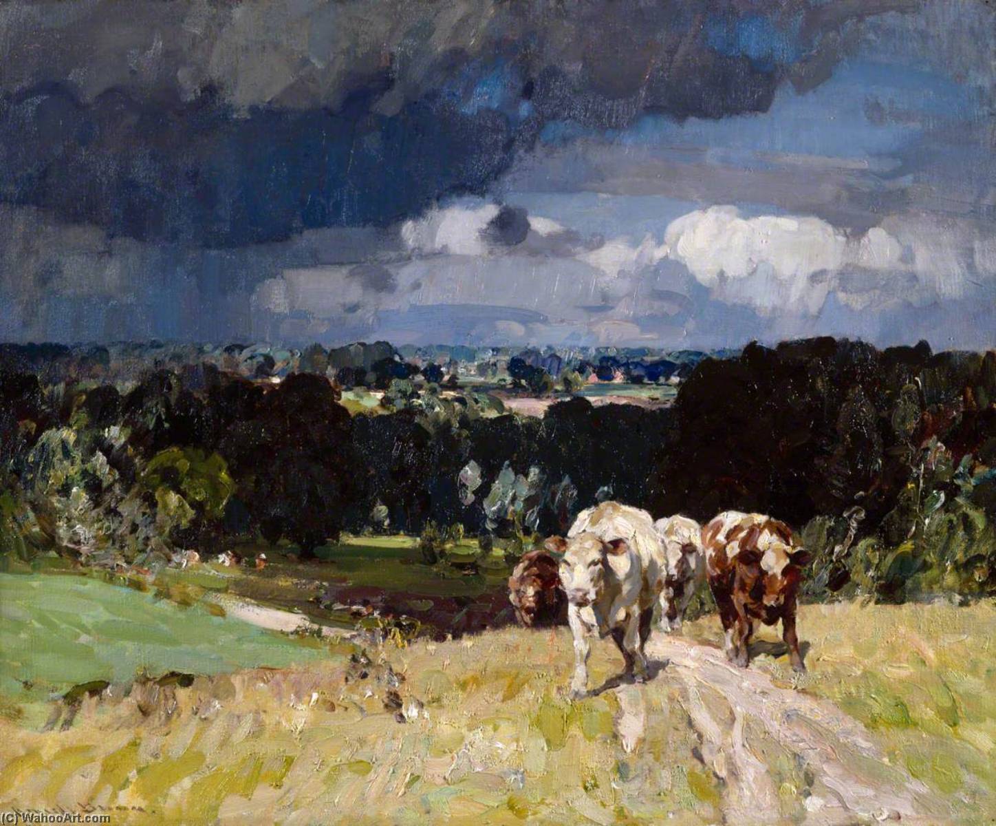 Wikioo.org - The Encyclopedia of Fine Arts - Painting, Artwork by John Alfred Arnesby Brown - The Raincloud
