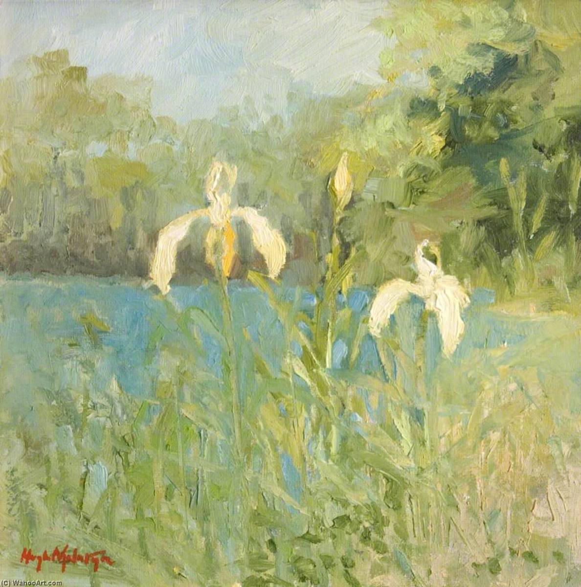 WikiOO.org - دایره المعارف هنرهای زیبا - نقاشی، آثار هنری Hugh Mcneil Mcintyre - White Iris