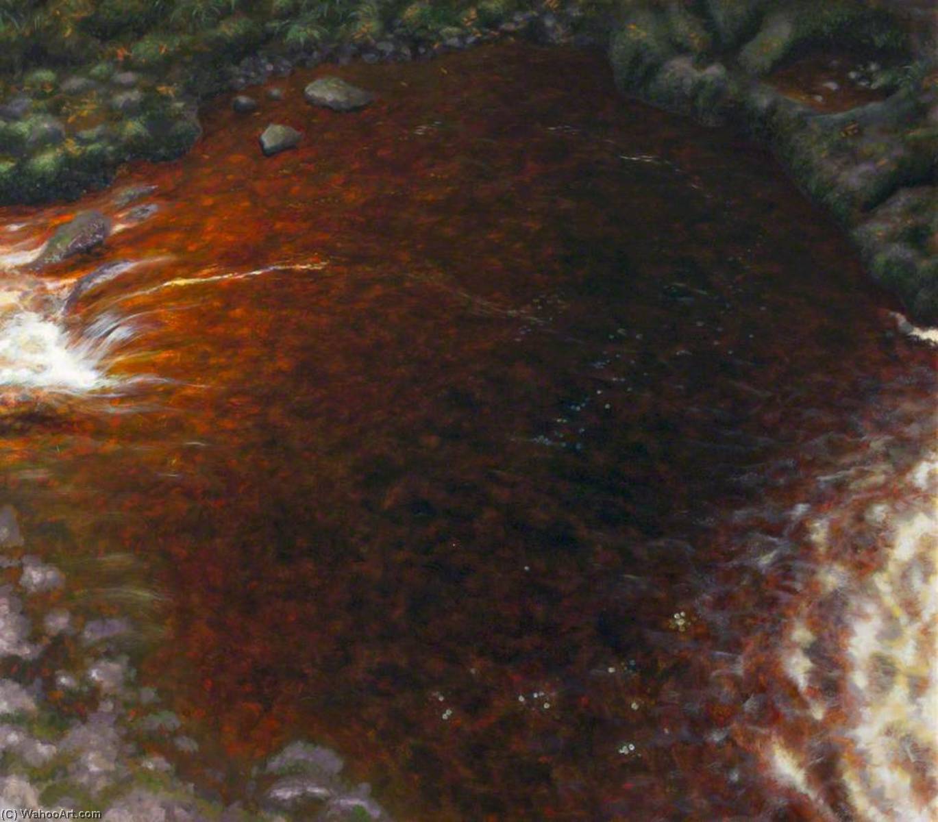 Wikioo.org - The Encyclopedia of Fine Arts - Painting, Artwork by Carol Graham - Dark Water Enigma