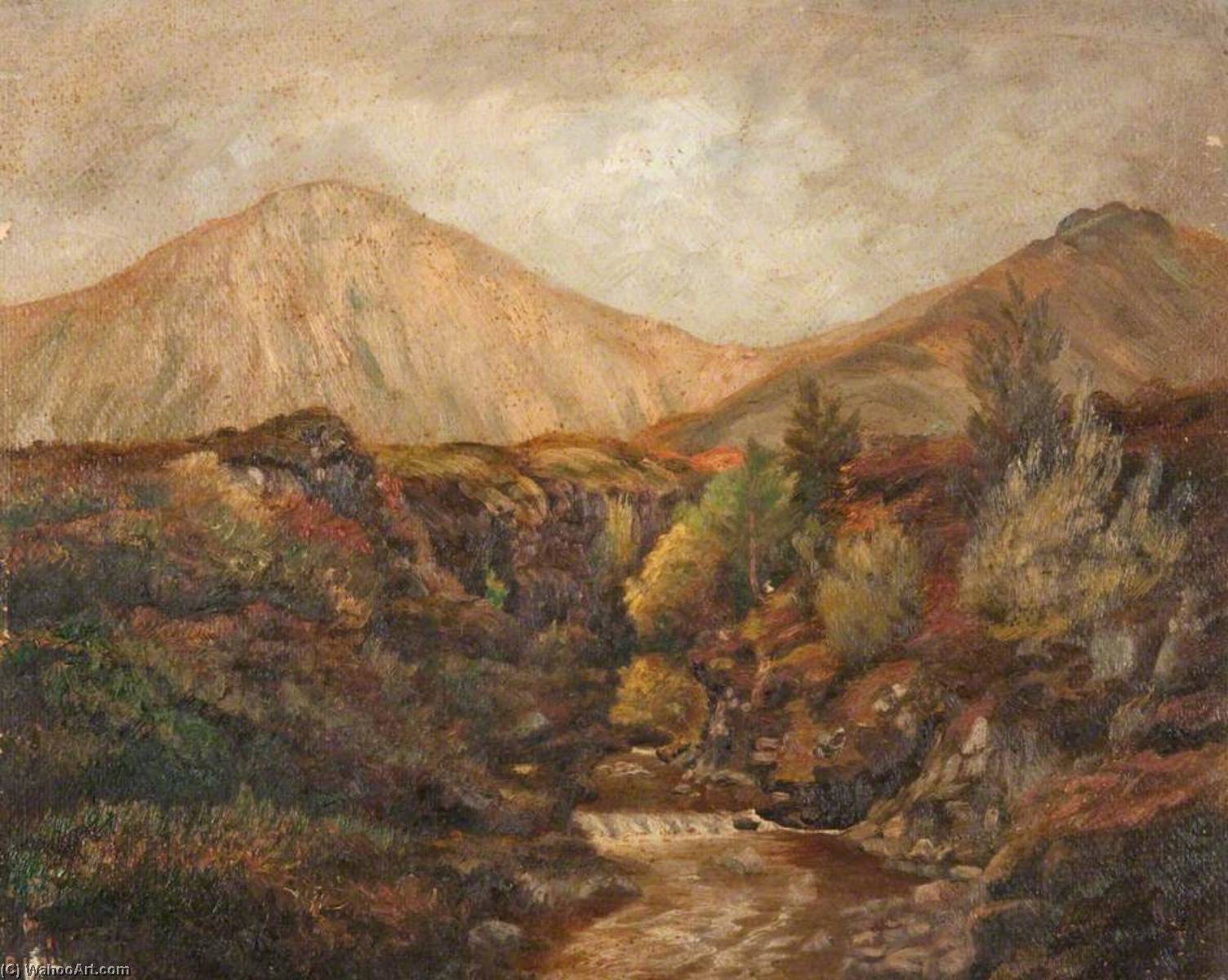 Wikioo.org - The Encyclopedia of Fine Arts - Painting, Artwork by Robert Lillie - Gully at Sligachan, Skye