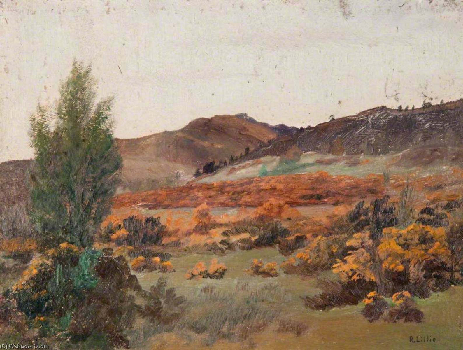 Wikioo.org - The Encyclopedia of Fine Arts - Painting, Artwork by Robert Lillie - A Hillside at Callander