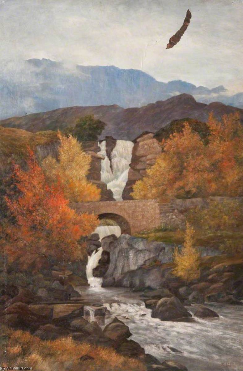 Wikioo.org - The Encyclopedia of Fine Arts - Painting, Artwork by Robert Lillie - Ardessie Falls, Little Loch Broom, Ross shire