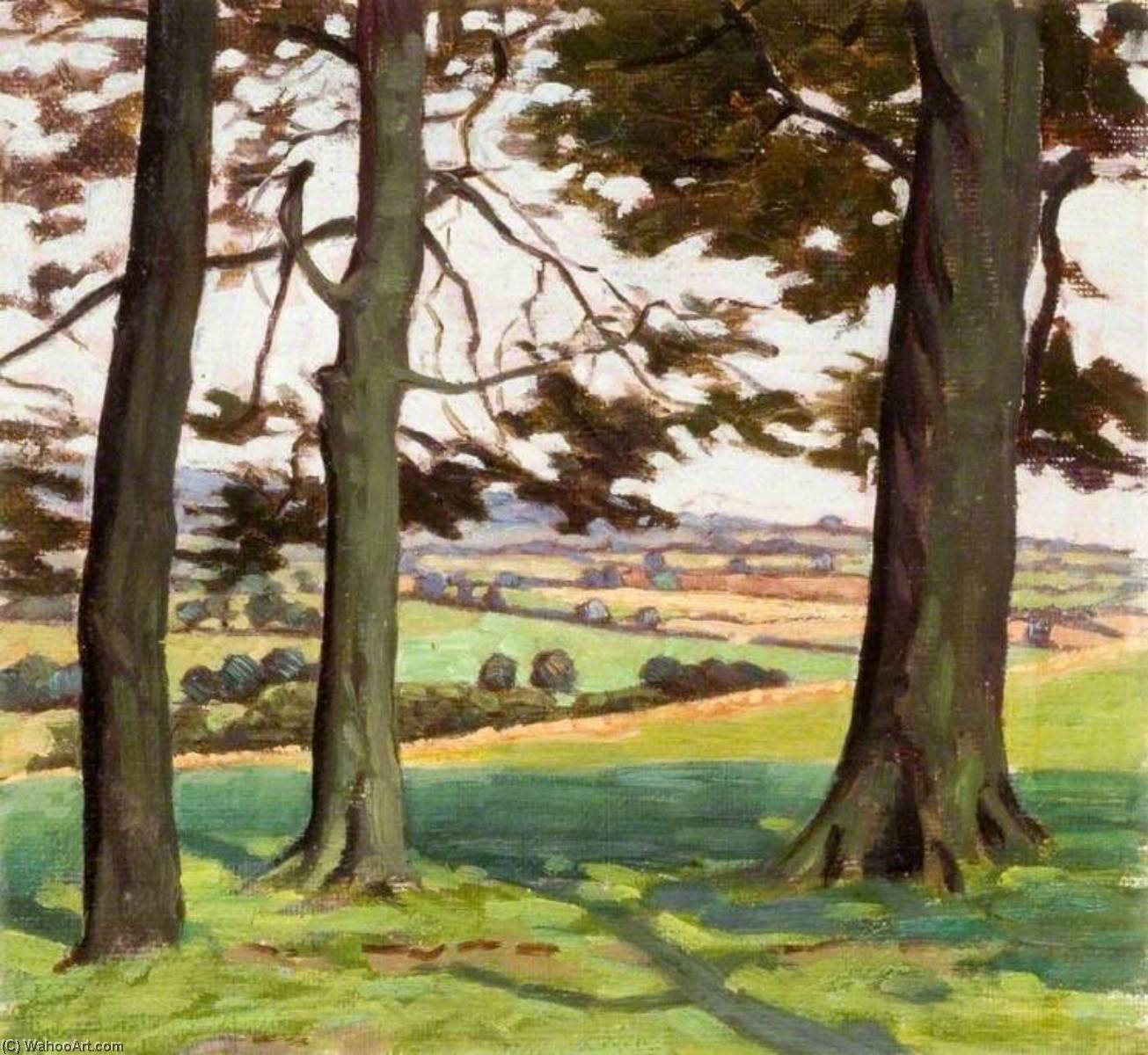 WikiOO.org - Encyclopedia of Fine Arts - Lukisan, Artwork Myrtle Broome - Landscape with Three Tree Trunks