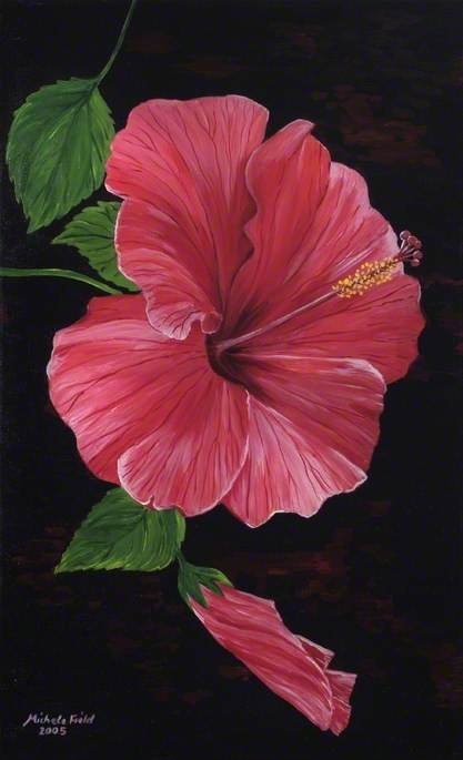 Wikioo.org - The Encyclopedia of Fine Arts - Painting, Artwork by Michele Elizabeth Field - Hibiscus