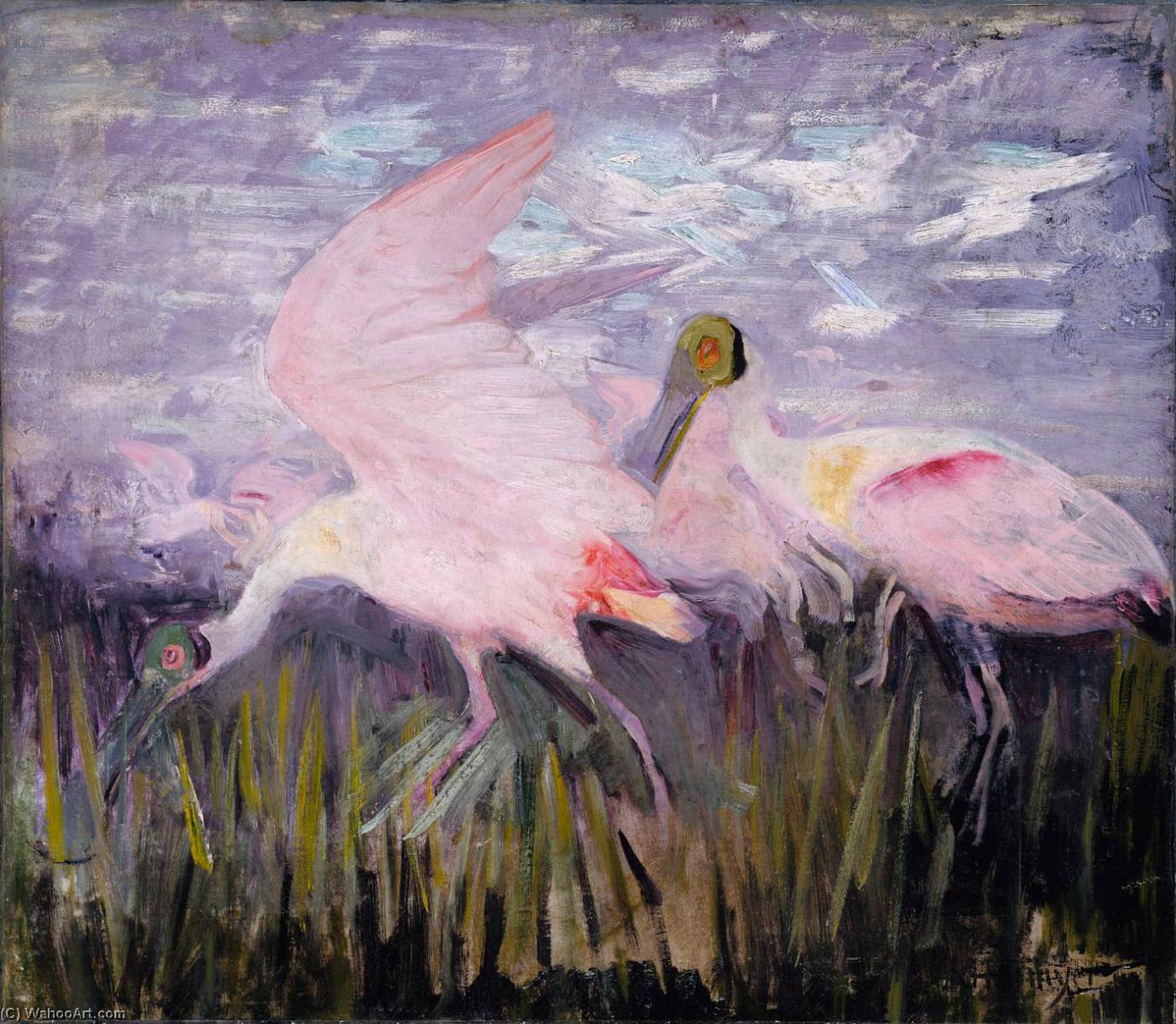 Wikioo.org - The Encyclopedia of Fine Arts - Painting, Artwork by Abbott Handerson Thayer - Roseate Spoonbills, study for book Concealing Coloration in the Animal Kingdom