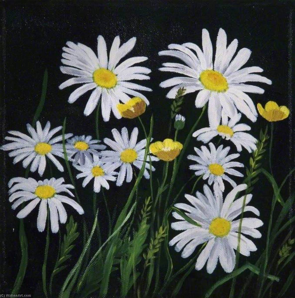 Wikioo.org - The Encyclopedia of Fine Arts - Painting, Artwork by Michele Elizabeth Field - Poppies, Buttercups and Daisies