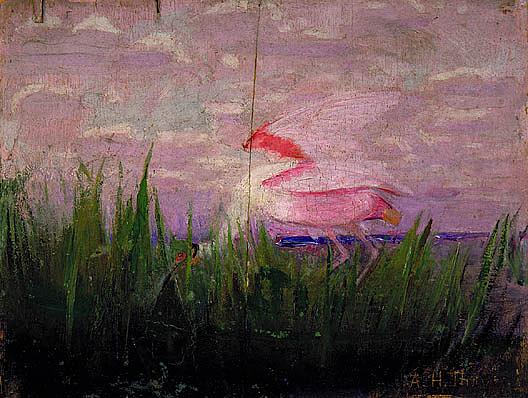 Wikioo.org - The Encyclopedia of Fine Arts - Painting, Artwork by Abbott Handerson Thayer - Roseate Spoonbill, study for book Concealing Coloration in the Animal Kingdom, (painting)
