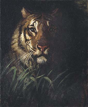 Wikioo.org - The Encyclopedia of Fine Arts - Painting, Artwork by Abbott Handerson Thayer - Tiger's Head, (painting)