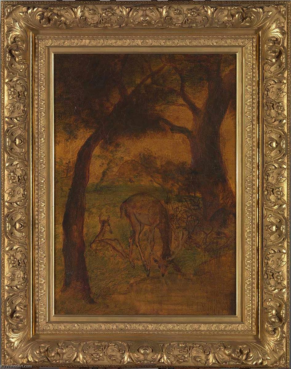 Wikioo.org - The Encyclopedia of Fine Arts - Painting, Artwork by Albert Pinkham Ryder - A Stag Drinking