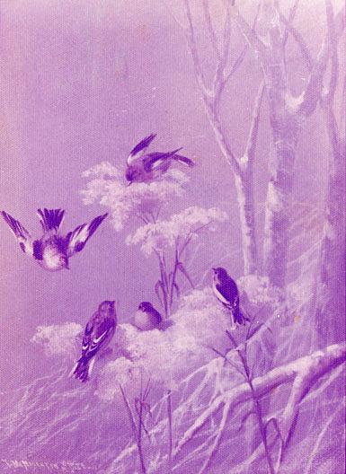 Wikioo.org - The Encyclopedia of Fine Arts - Painting, Artwork by Katherine Beatrice Mcnaughton Mowry - My Bird Painting, (painting)