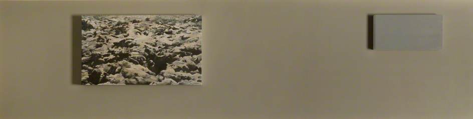 Wikioo.org - สารานุกรมวิจิตรศิลป์ - จิตรกรรม Donald Urquhart - Six Landscapes (Moss) (left section)