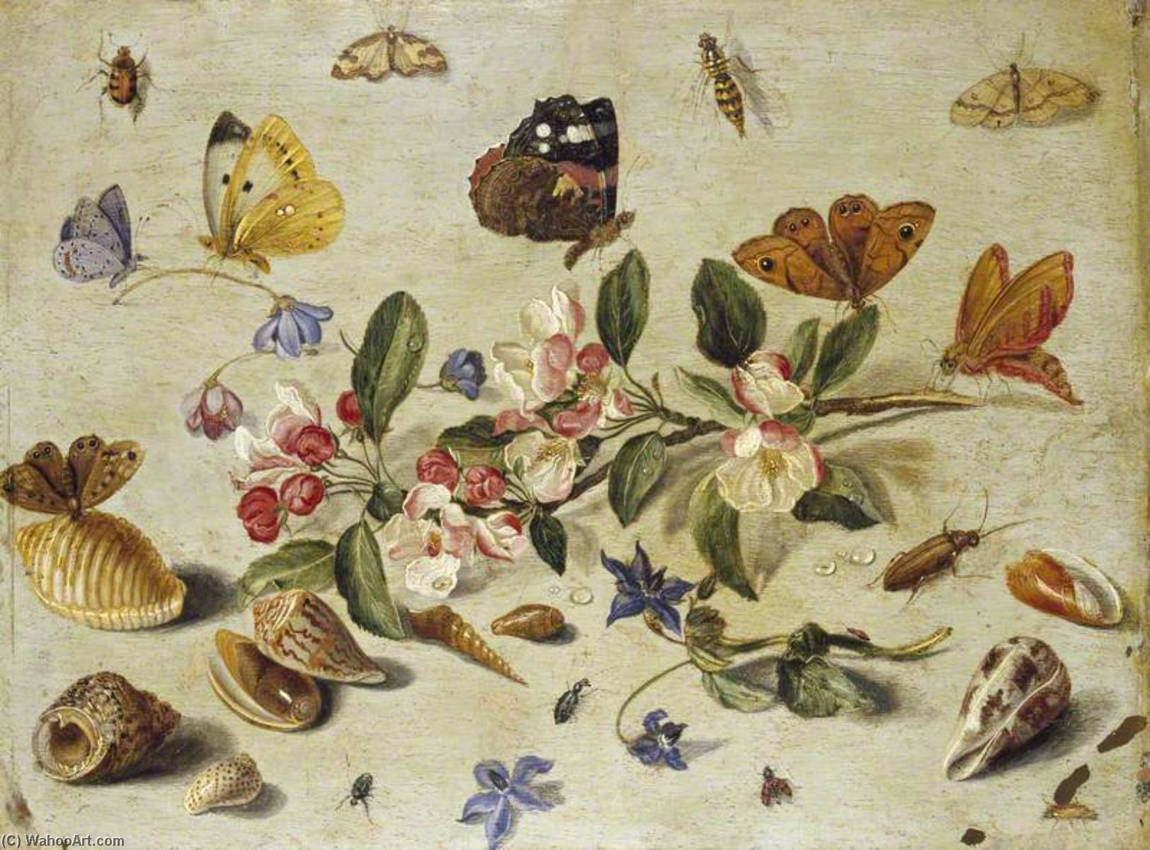 Wikioo.org - The Encyclopedia of Fine Arts - Painting, Artwork by Jan Van Kessel The Elder - Flowers and Insects