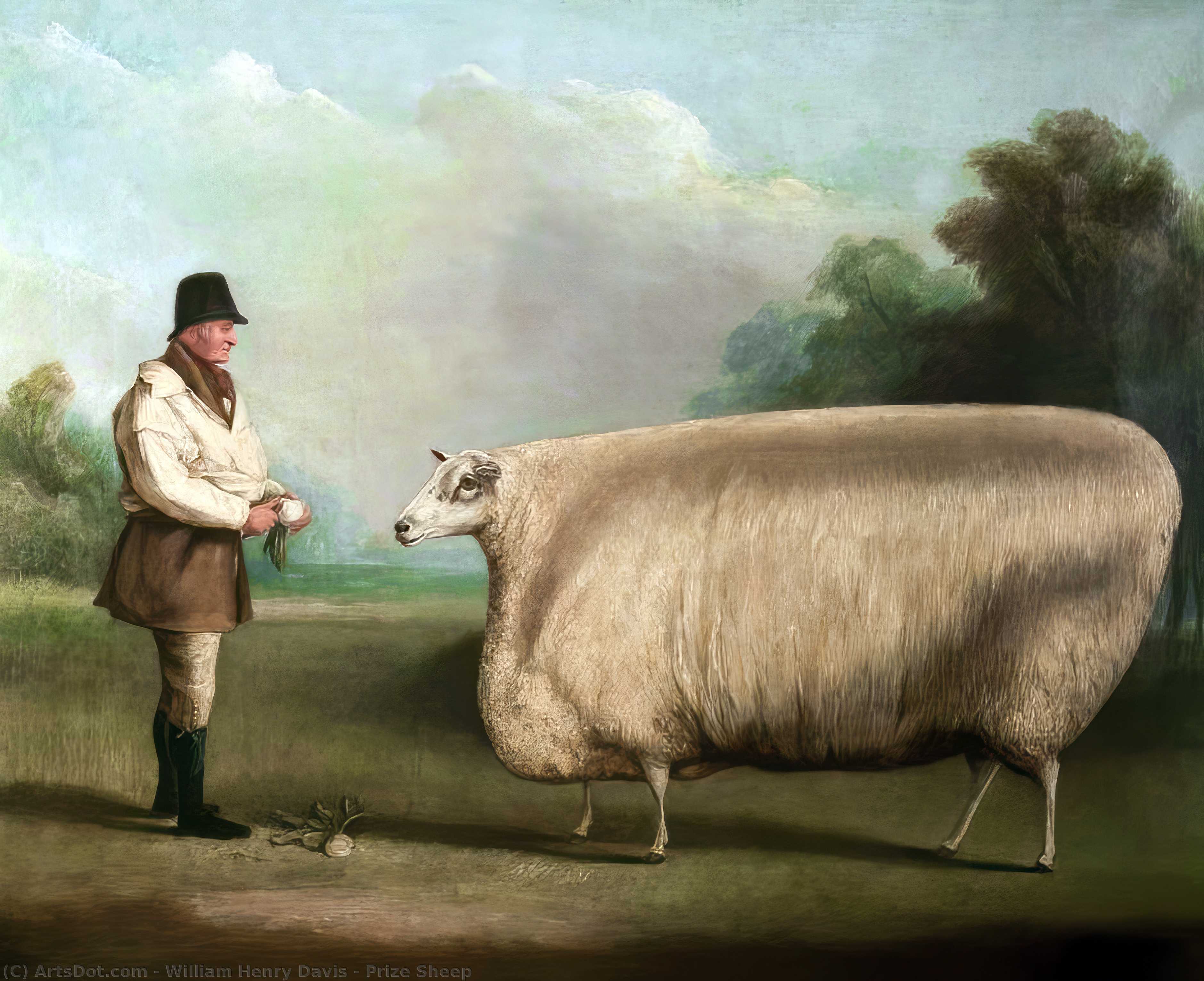 Wikioo.org - The Encyclopedia of Fine Arts - Painting, Artwork by William Henry Davis - Prize Sheep
