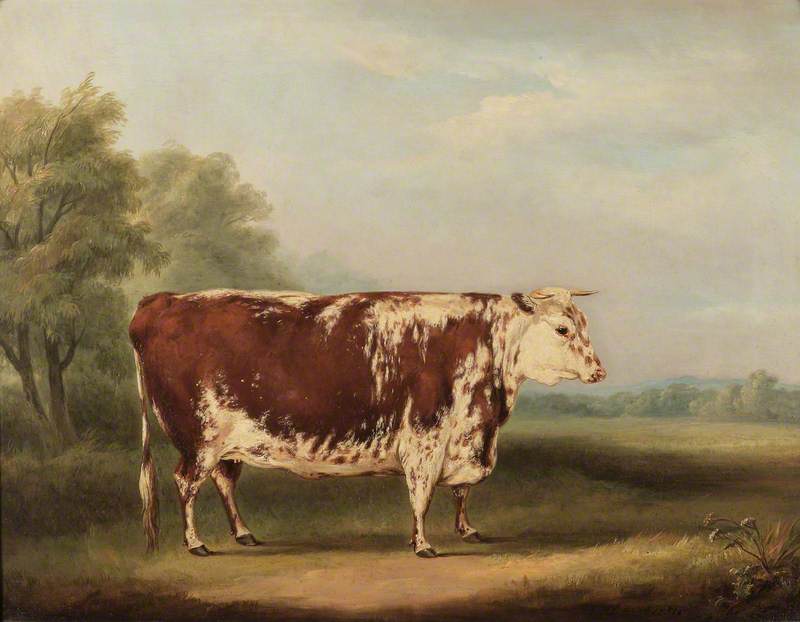 Wikioo.org - The Encyclopedia of Fine Arts - Painting, Artwork by William Henry Davis - Hereford Cow
