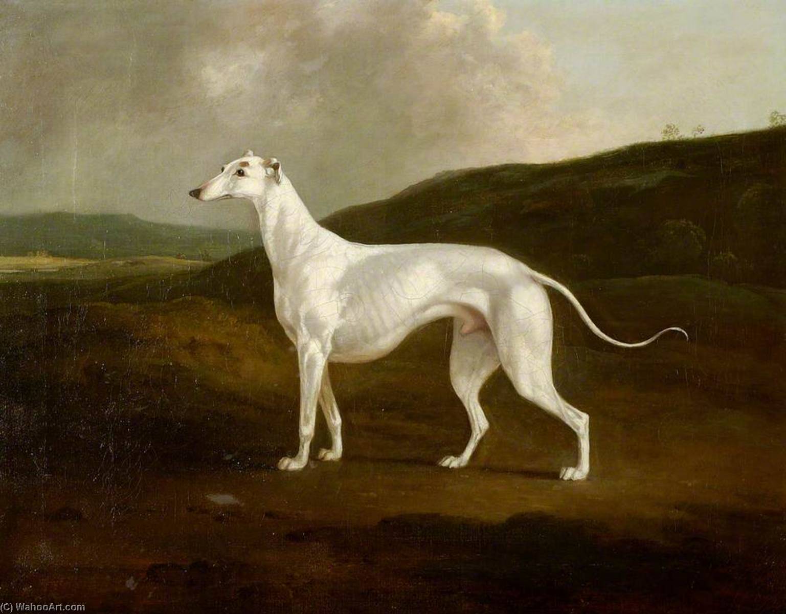 Wikioo.org - The Encyclopedia of Fine Arts - Painting, Artwork by Charles Henry Schwanfelder - A Greyhound in a Landscape