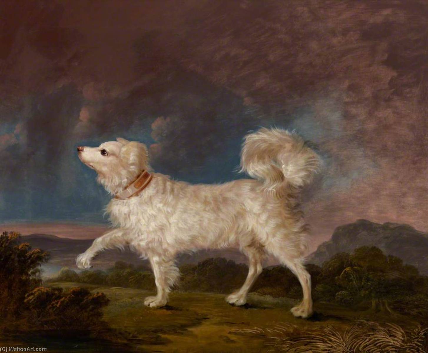 Wikioo.org - The Encyclopedia of Fine Arts - Painting, Artwork by Charles Henry Schwanfelder - Portrait of a Dog