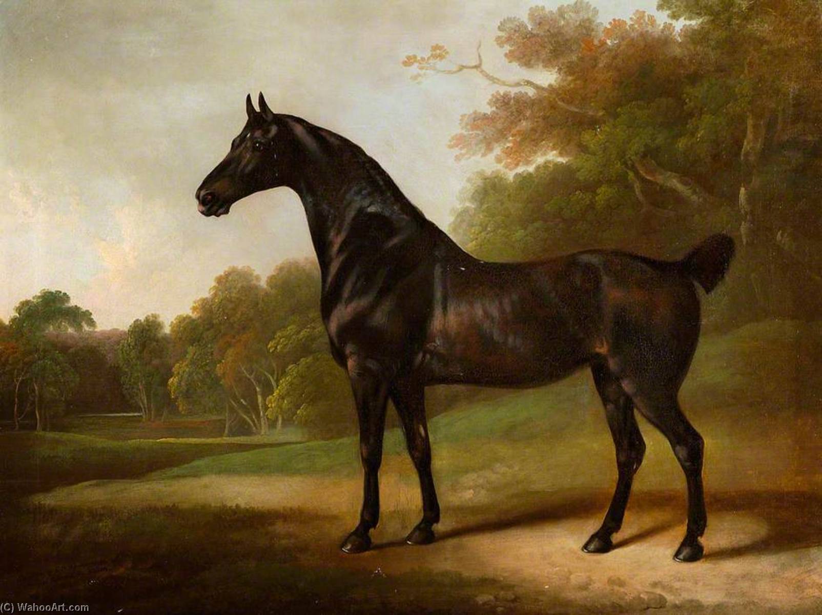 Wikioo.org - The Encyclopedia of Fine Arts - Painting, Artwork by Charles Henry Schwanfelder - A Bay Horse in a Wooded Landscape