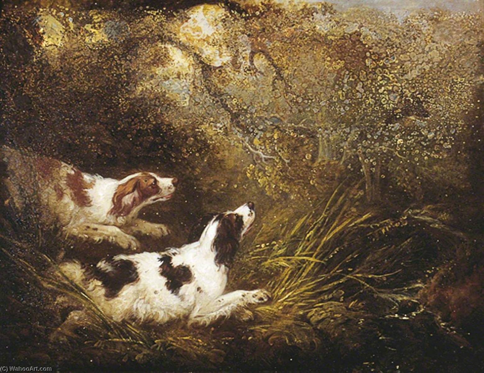 Wikioo.org - The Encyclopedia of Fine Arts - Painting, Artwork by Charles Henry Schwanfelder - Dogs