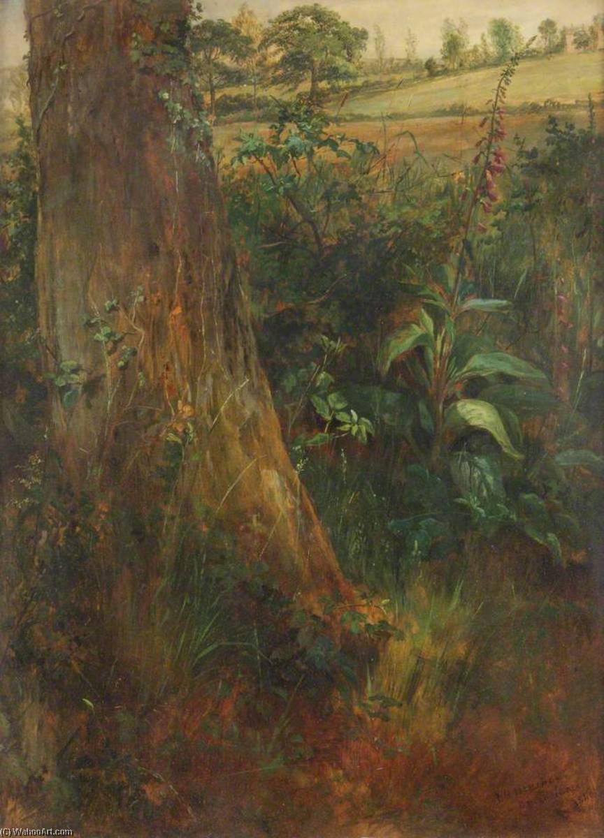 Wikioo.org - The Encyclopedia of Fine Arts - Painting, Artwork by Frederick Henry Henshaw - Tree Trunk and Foxglove