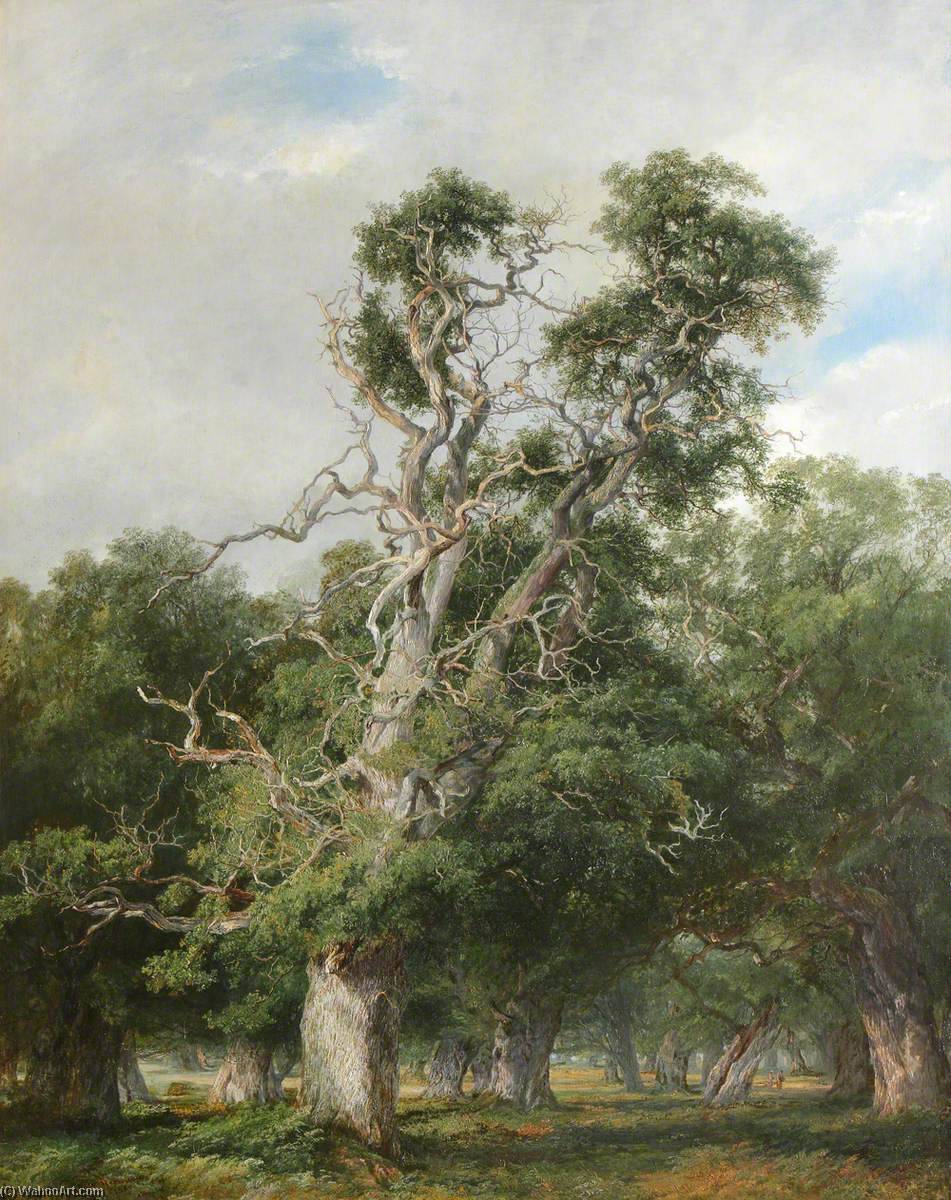 Wikioo.org - The Encyclopedia of Fine Arts - Painting, Artwork by Frederick Henry Henshaw - An Old Oak, Forest of Arden
