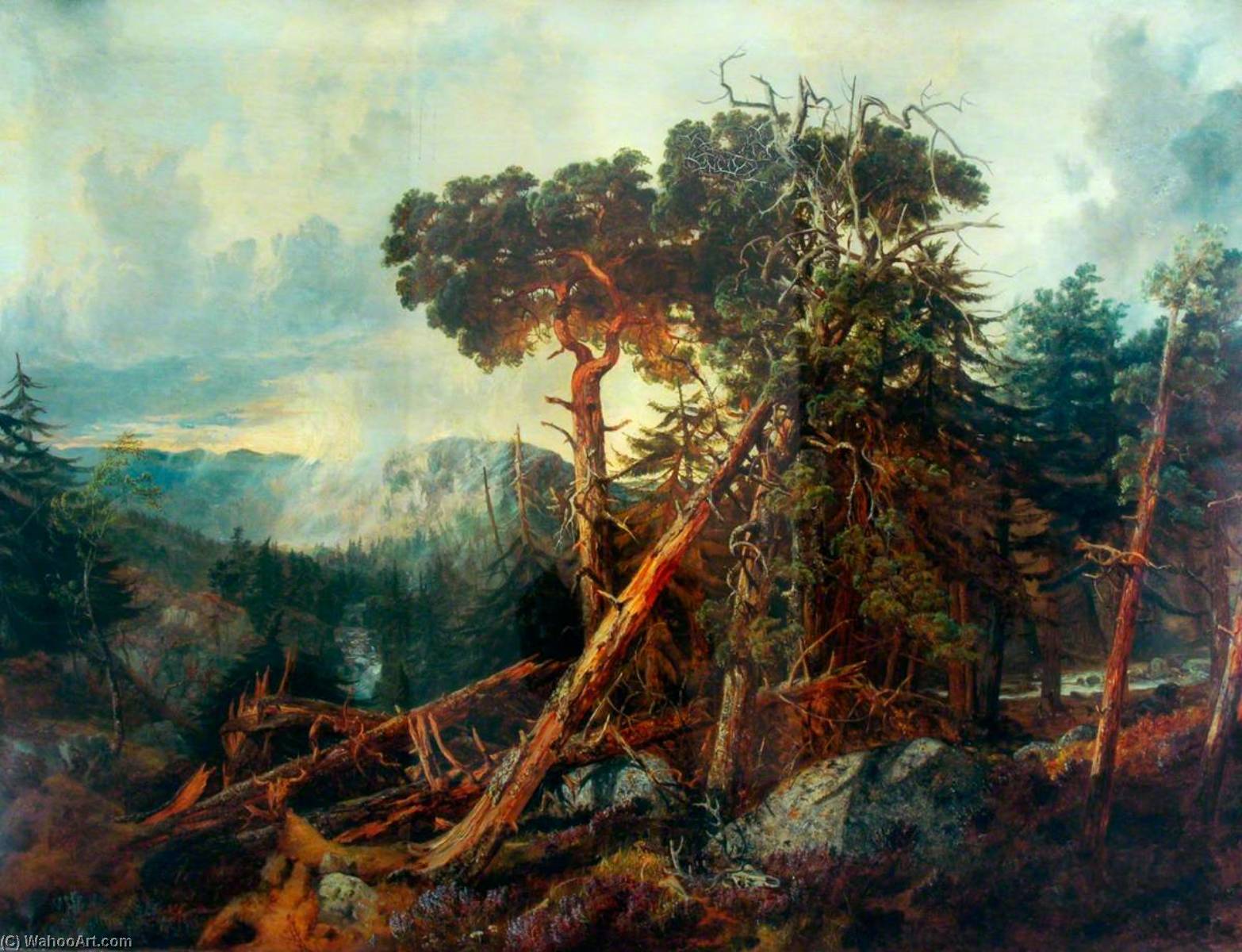 Wikioo.org - The Encyclopedia of Fine Arts - Painting, Artwork by John Wright Oakes - Pine Forest, Aberdeenshire
