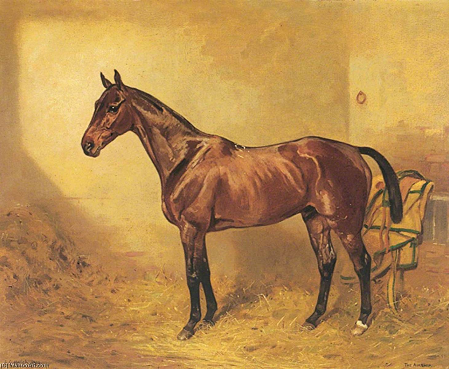 Wikioo.org - The Encyclopedia of Fine Arts - Painting, Artwork by Alfred Grenfell Haigh - Horse Portrait, 'The Airship'