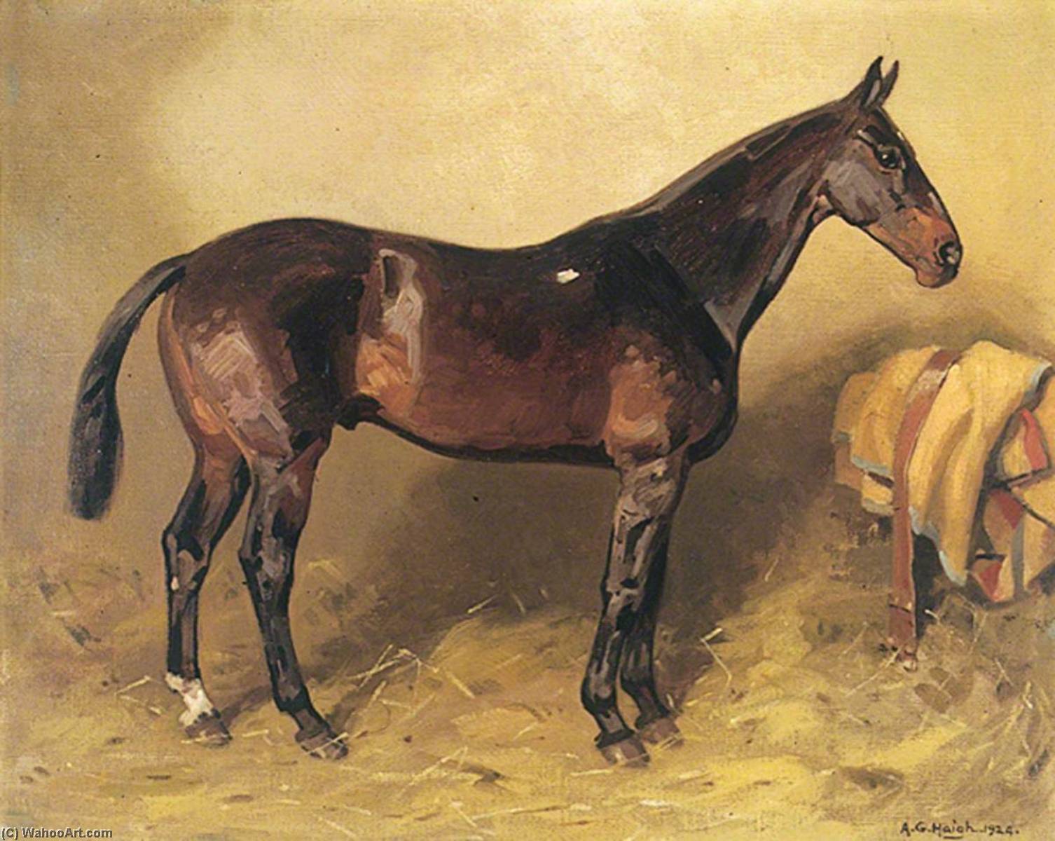 Wikioo.org - The Encyclopedia of Fine Arts - Painting, Artwork by Alfred Grenfell Haigh - Horse Portrait, 'Ruka'
