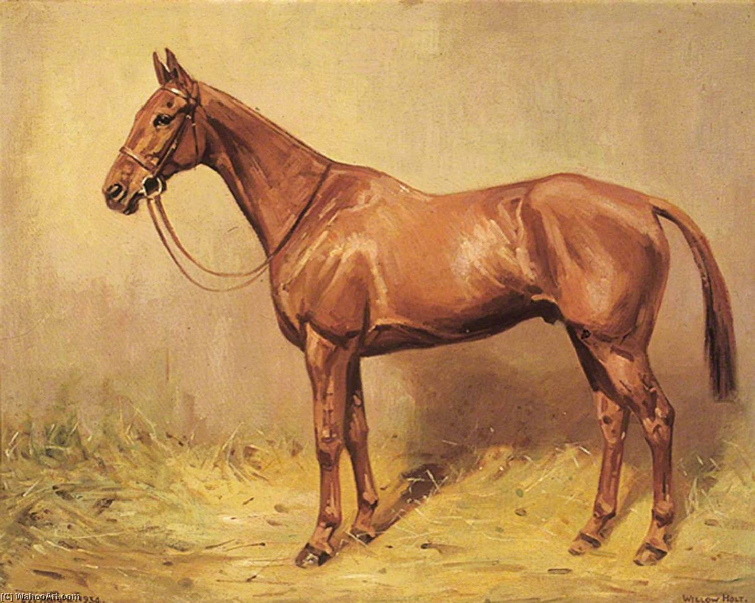 Wikioo.org - The Encyclopedia of Fine Arts - Painting, Artwork by Alfred Grenfell Haigh - Horse Portrait, 'Willow Holt'