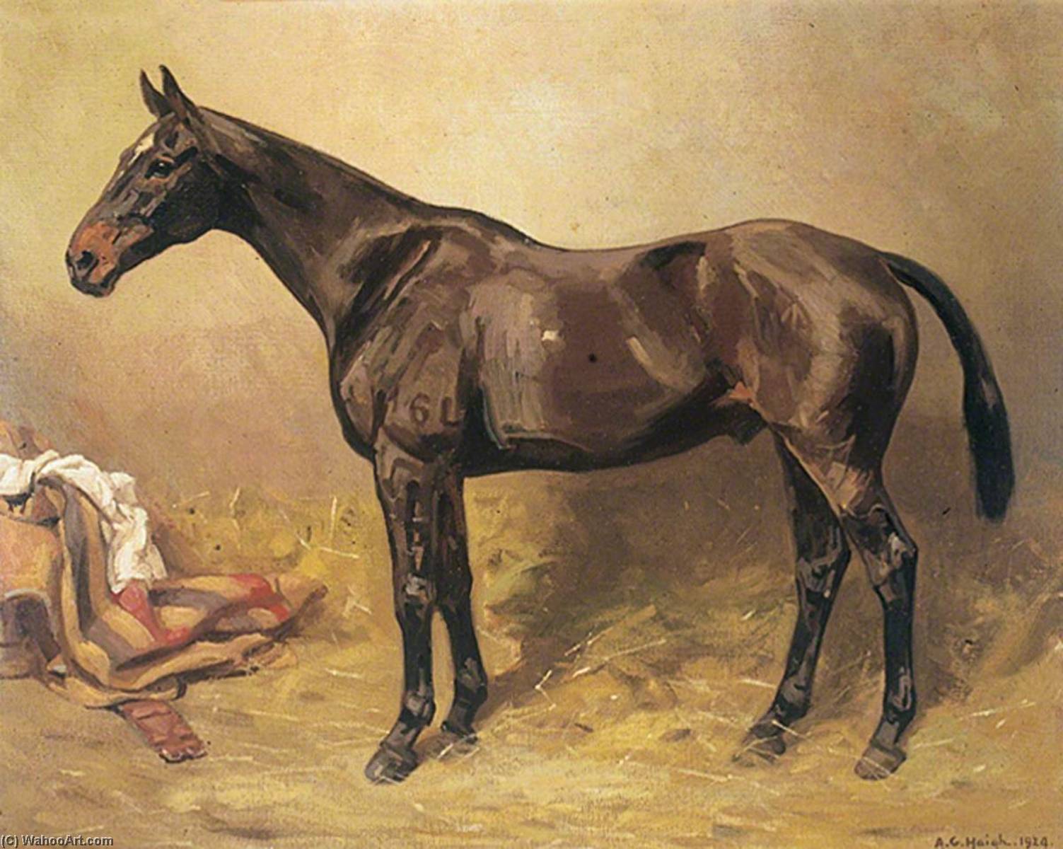 Wikioo.org - The Encyclopedia of Fine Arts - Painting, Artwork by Alfred Grenfell Haigh - Horse Portrait, 'Lancer'
