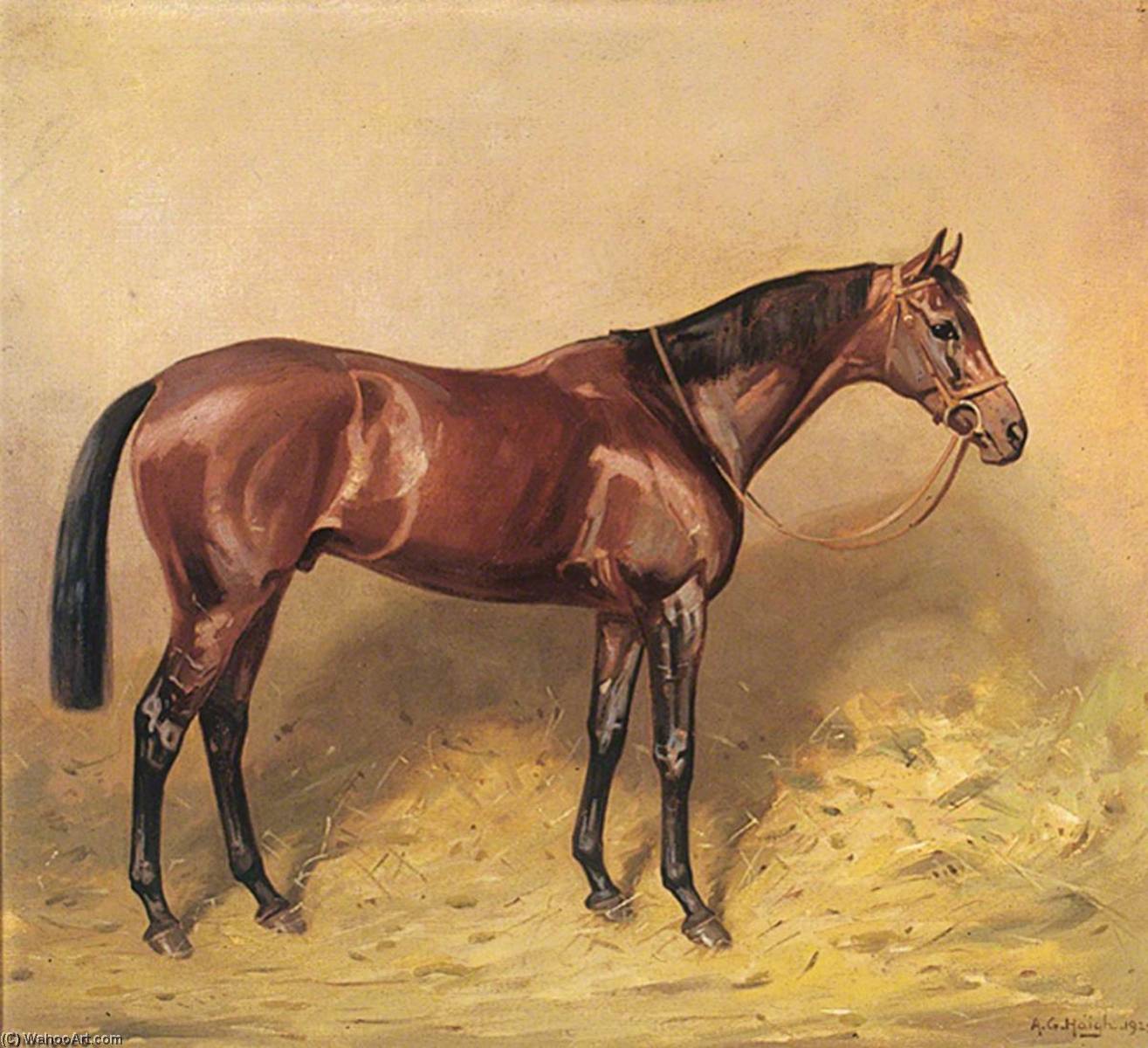 Wikioo.org - The Encyclopedia of Fine Arts - Painting, Artwork by Alfred Grenfell Haigh - Horse Portrait, 'Diomedes'