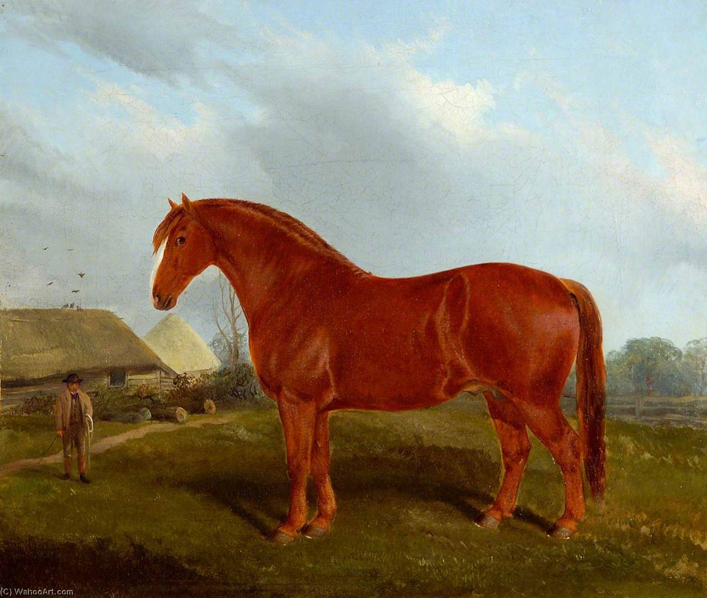 Wikioo.org - The Encyclopedia of Fine Arts - Painting, Artwork by John Duvall - Unnamed Horse