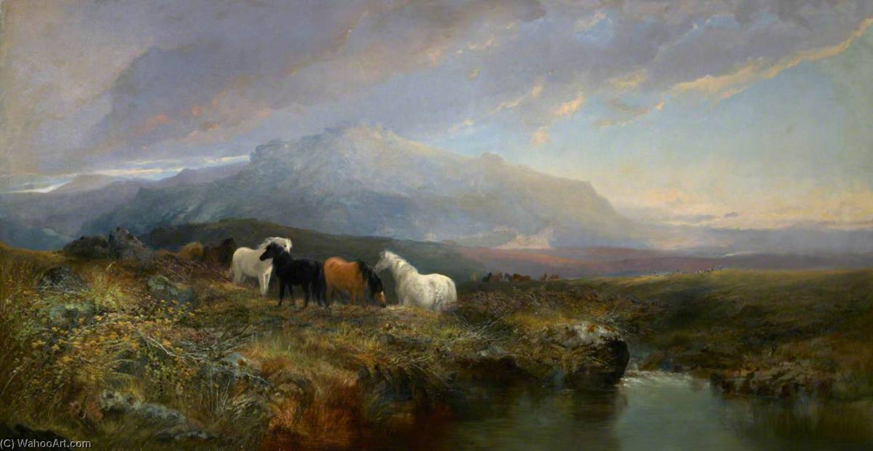 Wikioo.org - The Encyclopedia of Fine Arts - Painting, Artwork by William Widgery - Ponies on Dartmoor