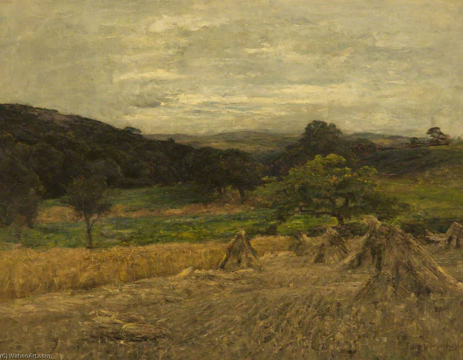 Wikioo.org - The Encyclopedia of Fine Arts - Painting, Artwork by Joshua Anderson Hague - Cornfield