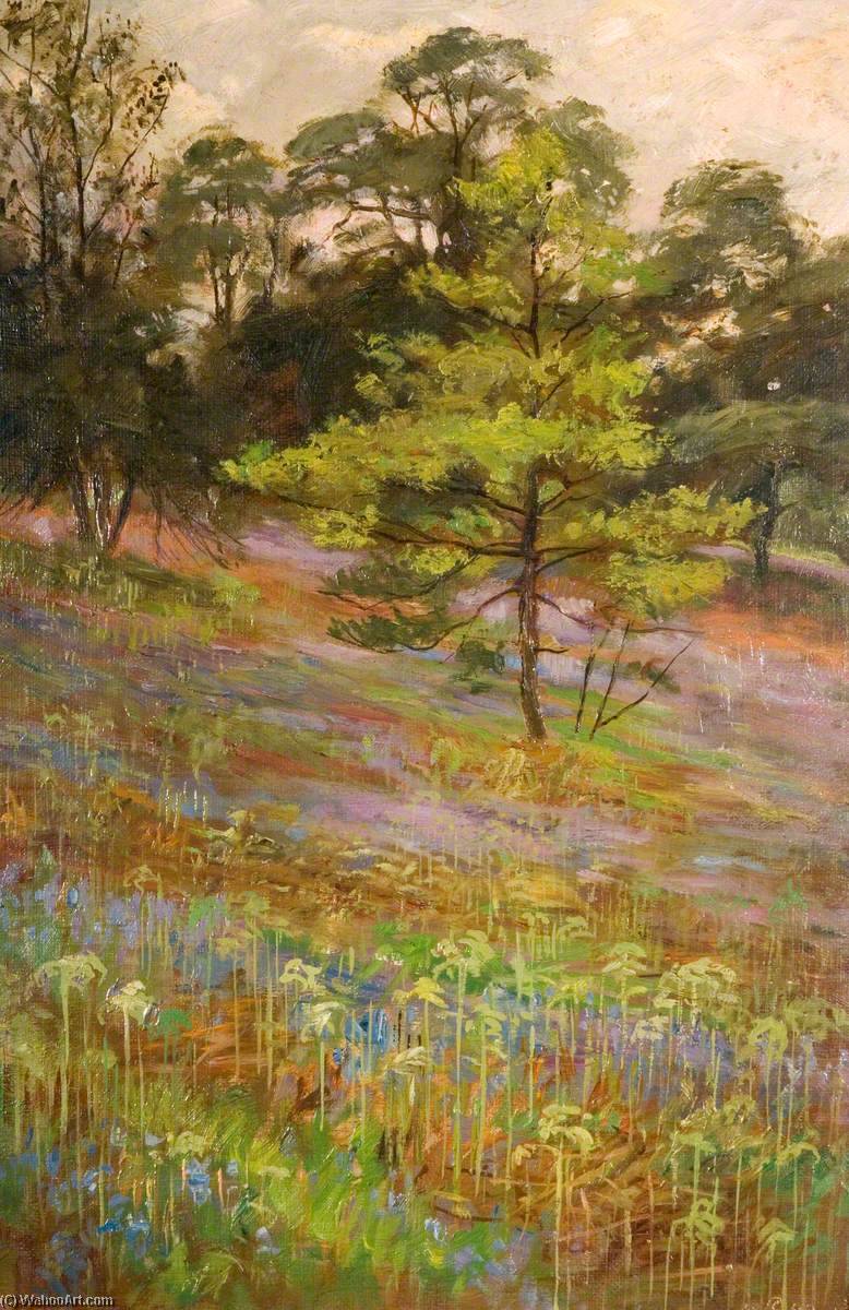 Wikioo.org - The Encyclopedia of Fine Arts - Painting, Artwork by George Cartlidge - Bluebells, Cliff Park, Rudyard