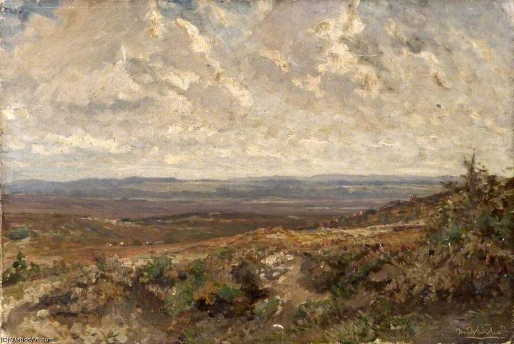 Wikioo.org - The Encyclopedia of Fine Arts - Painting, Artwork by Frederick William Newton Whitehead - Black Knoll, Winfrith, Dorset