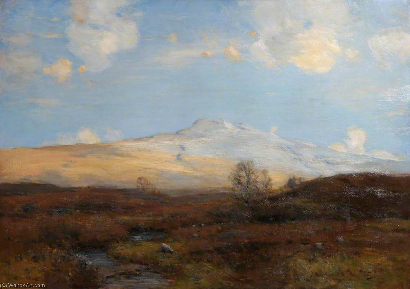 Wikioo.org - The Encyclopedia of Fine Arts - Painting, Artwork by William Miller Frazer - A Perthshire Moorland