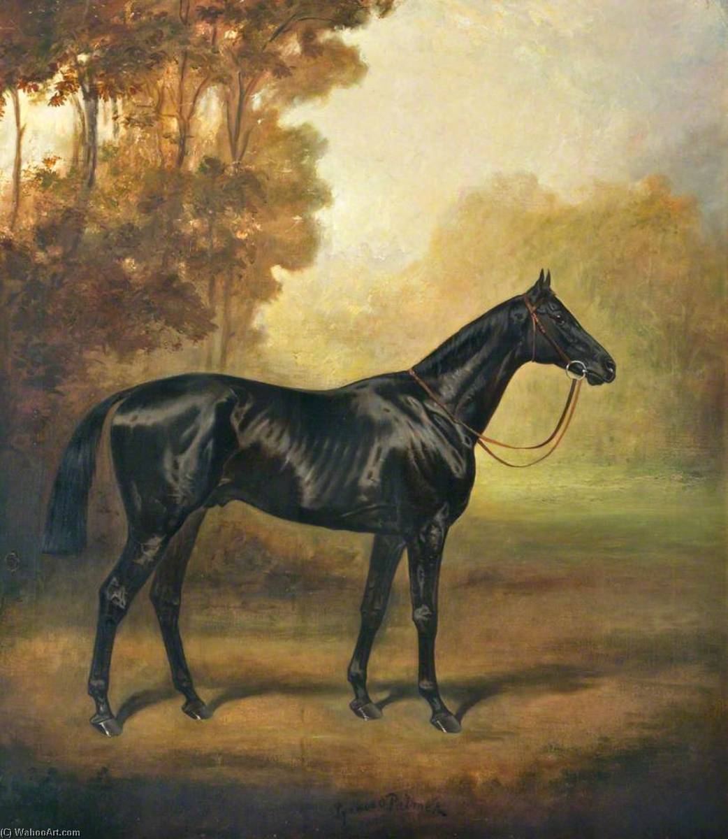 Wikioo.org - The Encyclopedia of Fine Arts - Painting, Artwork by James Lynwood Palmer - 'Black Arrow'