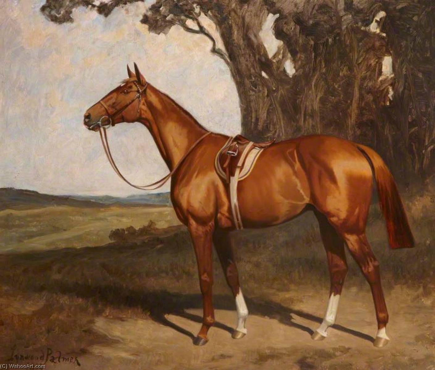 Wikioo.org - The Encyclopedia of Fine Arts - Painting, Artwork by James Lynwood Palmer - 'Benevente', a Saddled Chestnut Racehorse in a Landscape